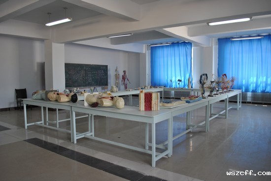 DSC_0113.JPG
